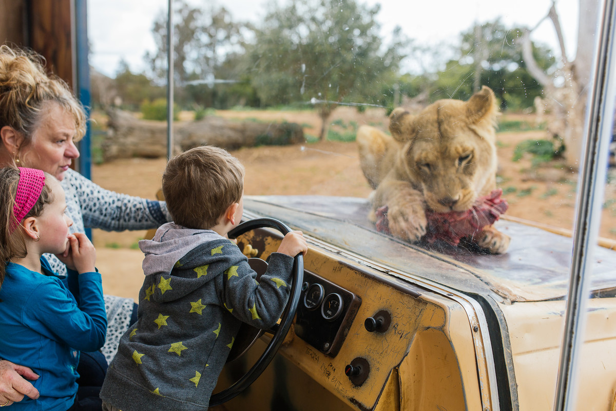 Werribee Zoo Early Morning Safari Tour