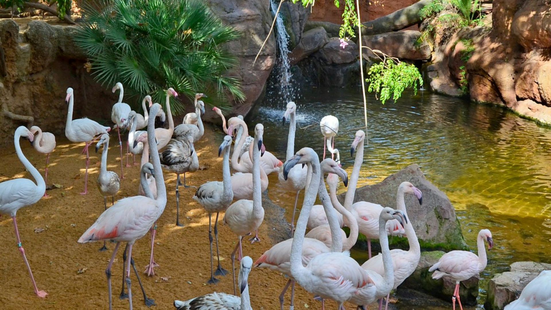 Explore immersive exhibits showcasing rainforests, aquariums, and vibrant aviary species