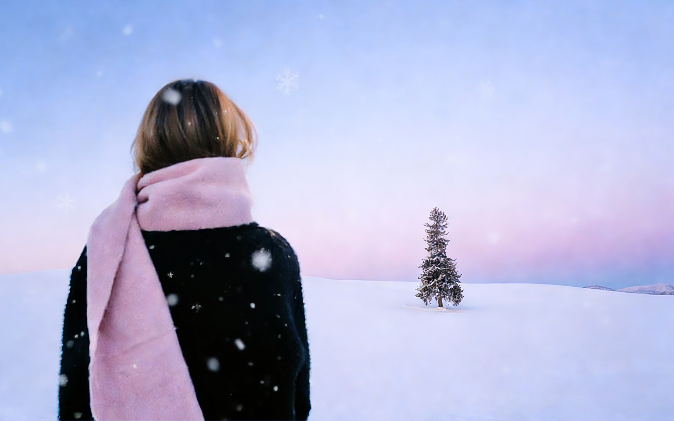 Asahikawa Zoo, Biei Christmas Tree, Shirahige Falls, and Ningle Terrace Day Trip (Hotel pickup optional)