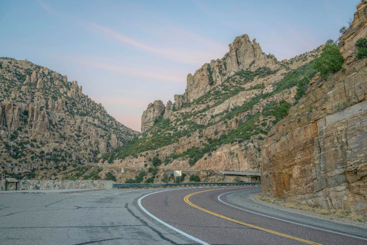 Journey through diverse landscapes, spotting wildlife and vibrant foliage on Mount Lemmon