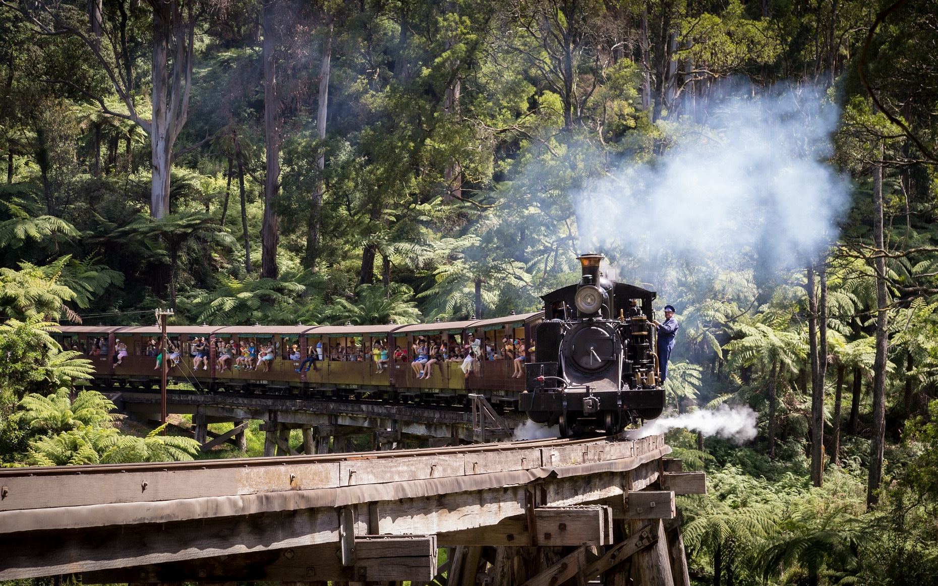 Puffing Billy Steam Train & Penguin Parade Full-Day Sightseeing