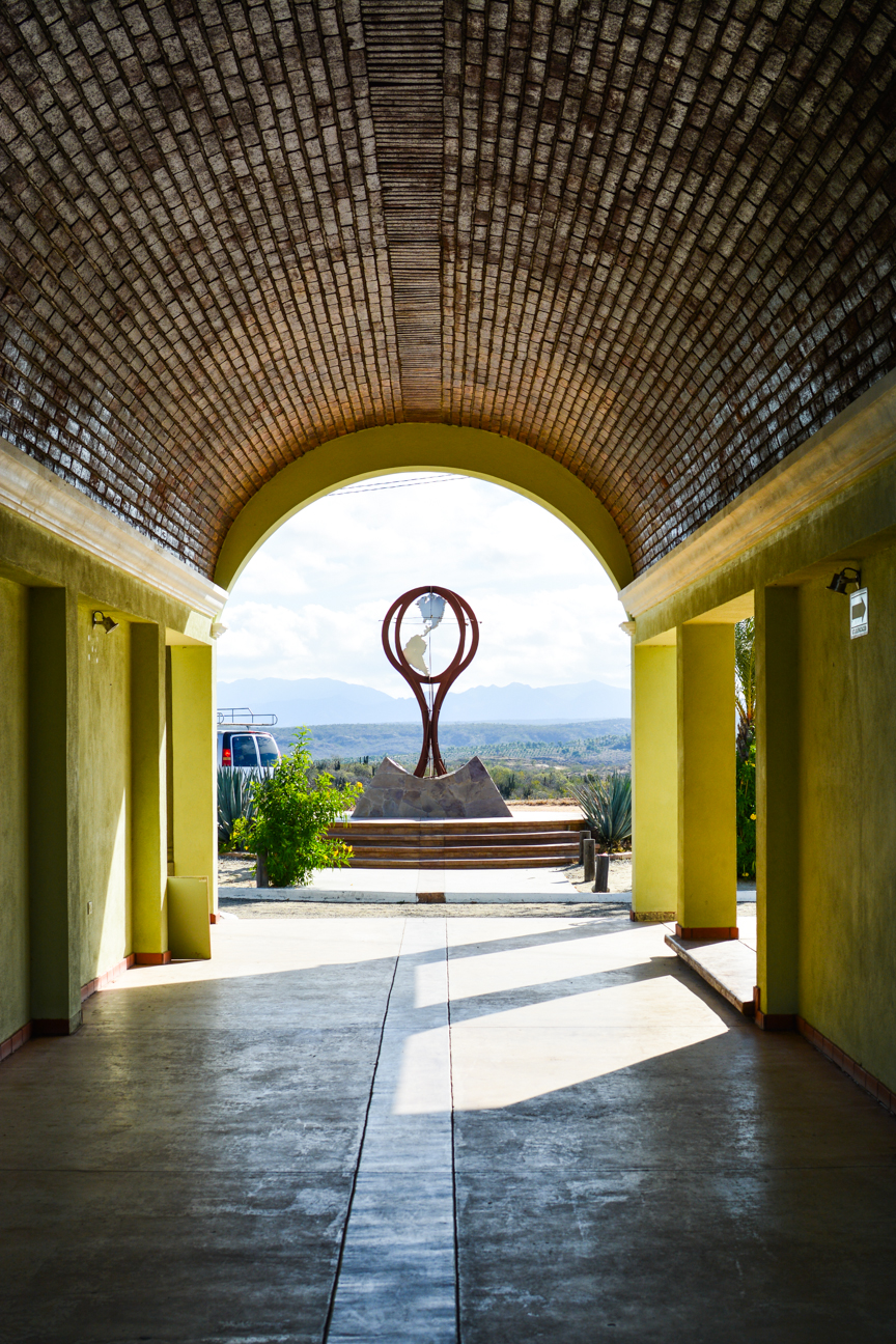 Admire the diverse landscape.