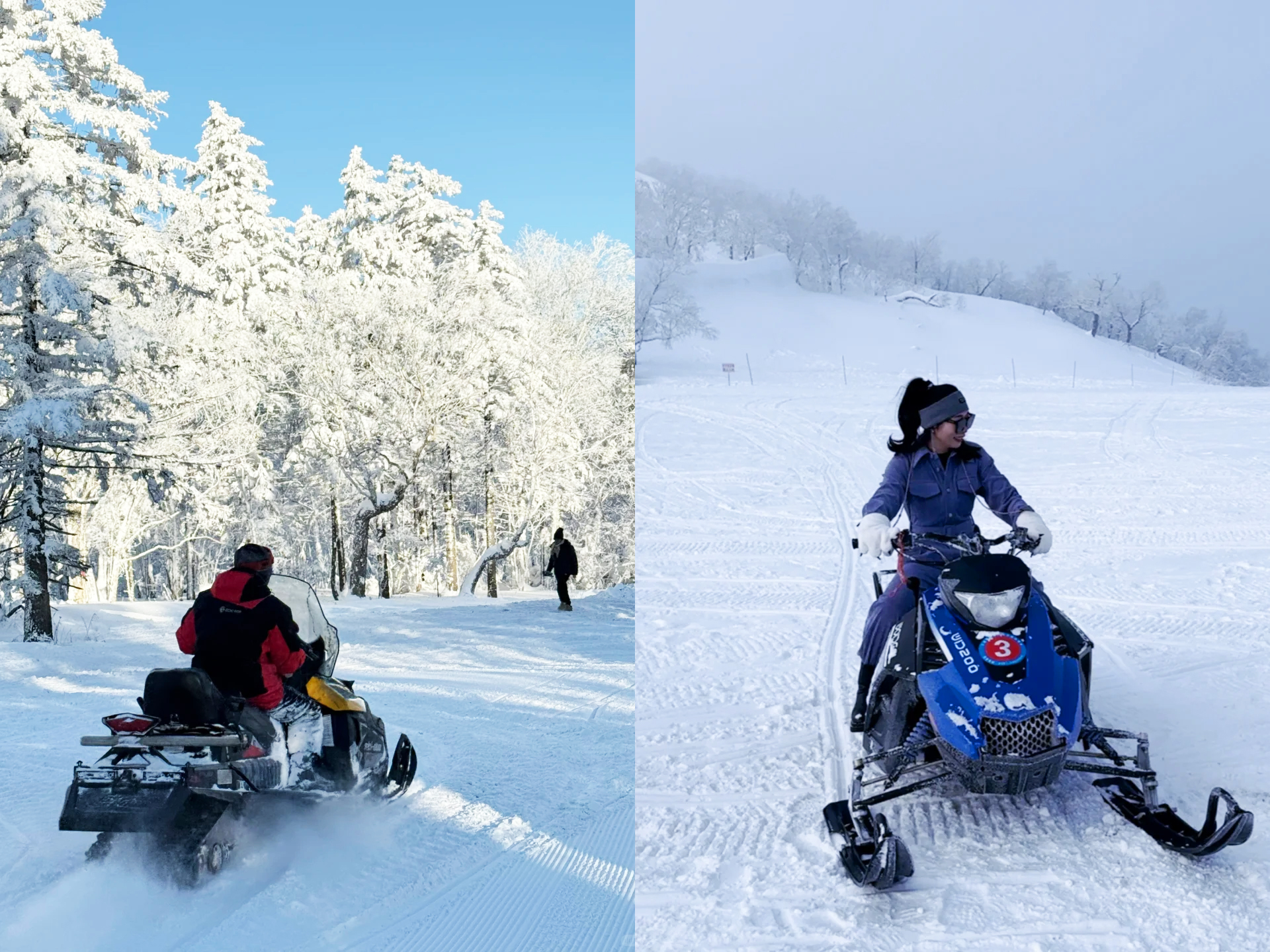 前往亞雪驛站休息區，乘【雪地摩托穿越林海雪原】感受穿林海，跨雪原的刺激旅程