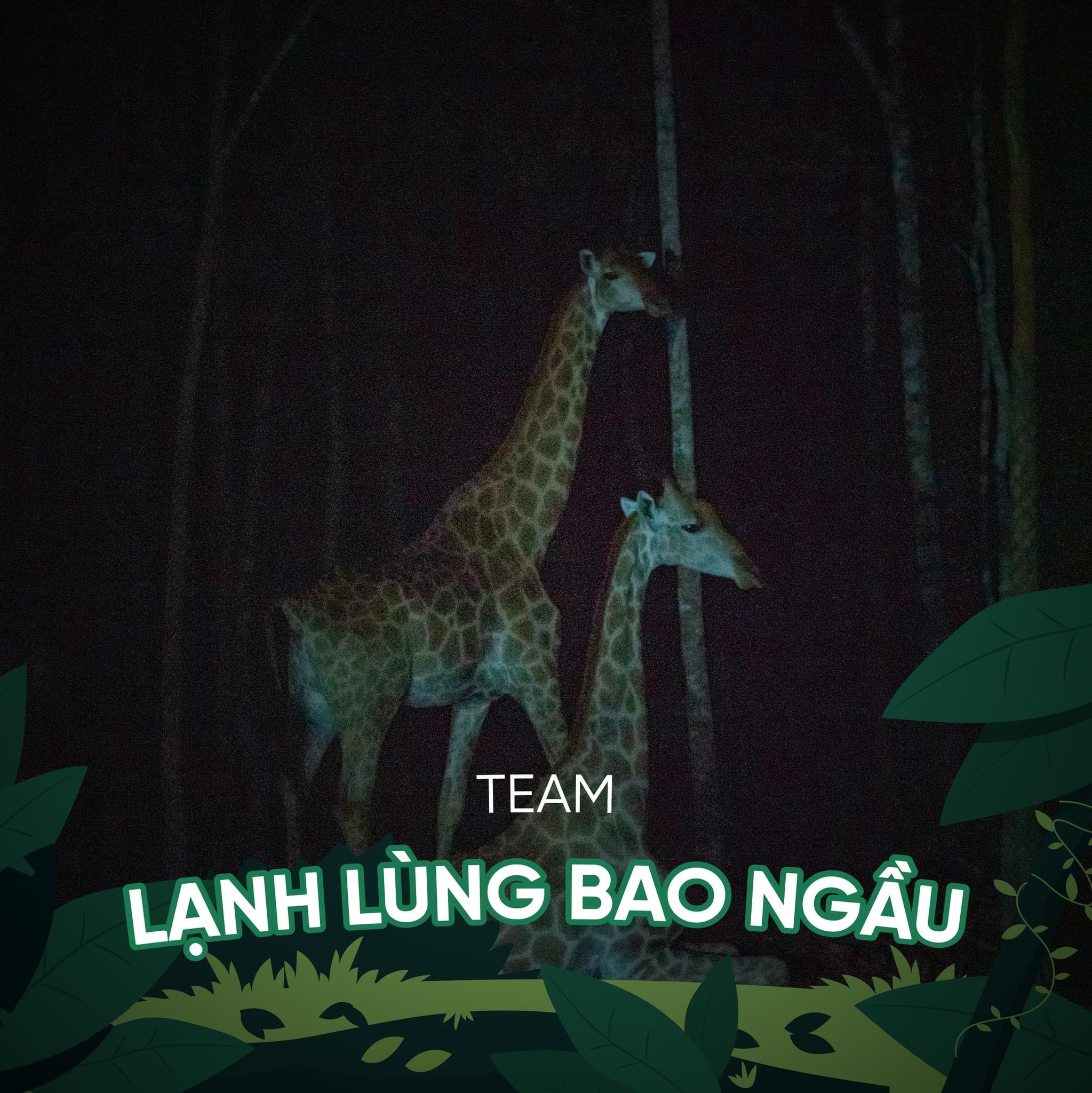 Night Safari Tour