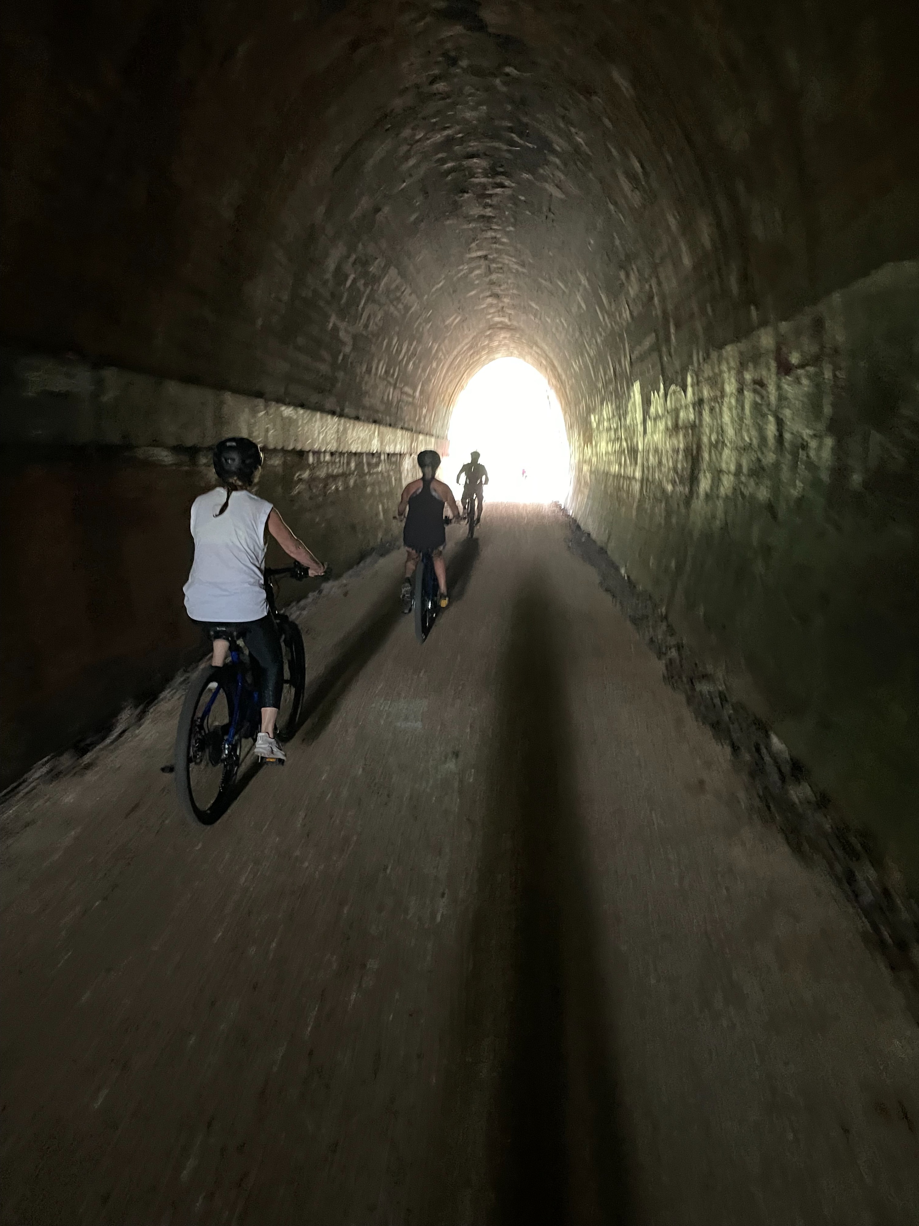 Guided Glow Worm E-Bike Tour in Byron Bay