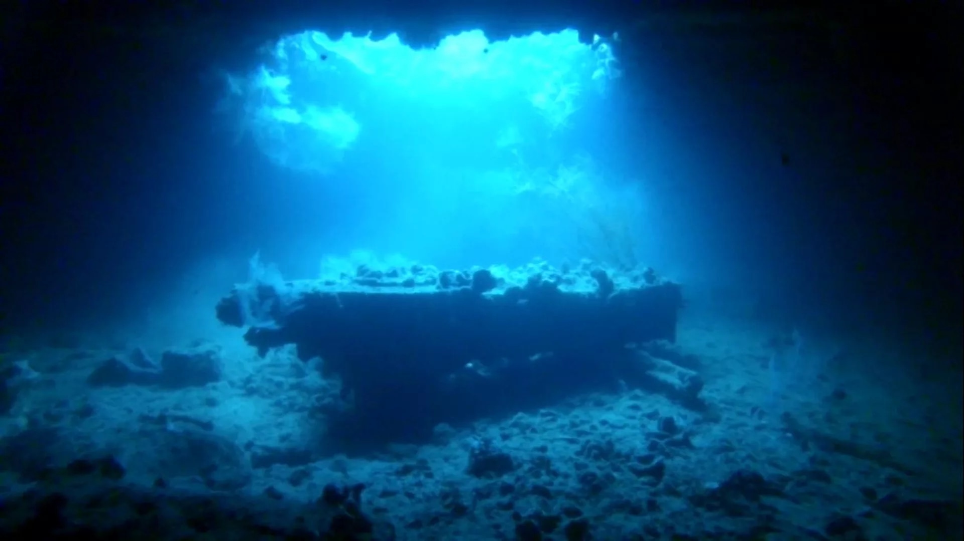 巴拉望2次沉船潛水體驗（PADI五星級潛水度假村）