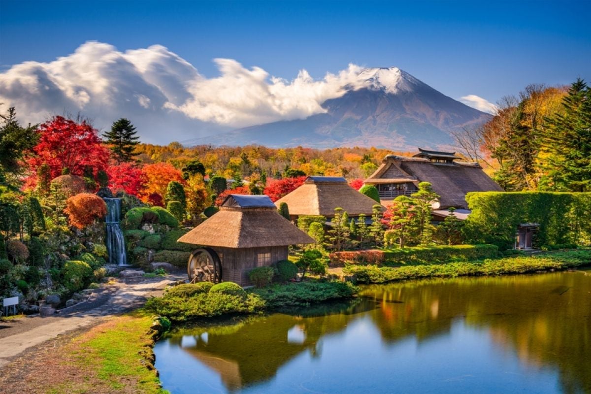 富士山賞花熱門打卡一日遊｜五合目&忍野八海&新倉山公園&日川時計店&河口湖大石公園&御殿場奧特萊斯（多線路可選）