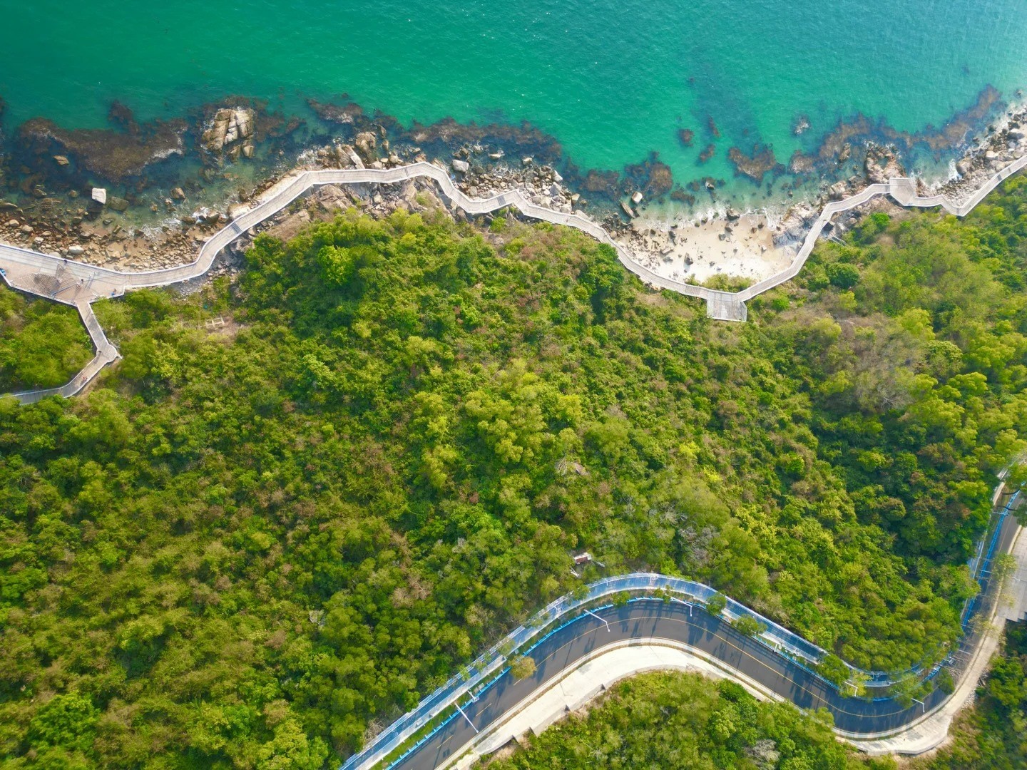 Shenzhen Slow Enjoyment of Seaside Silver Age Pastoral 1-Day Tour (Shenzhen Bay Beauty + Coastal Light Travel + Yantian Seaside Plank Road + Crossing the Hong Kong-Zhuhai-Macao Bridge)