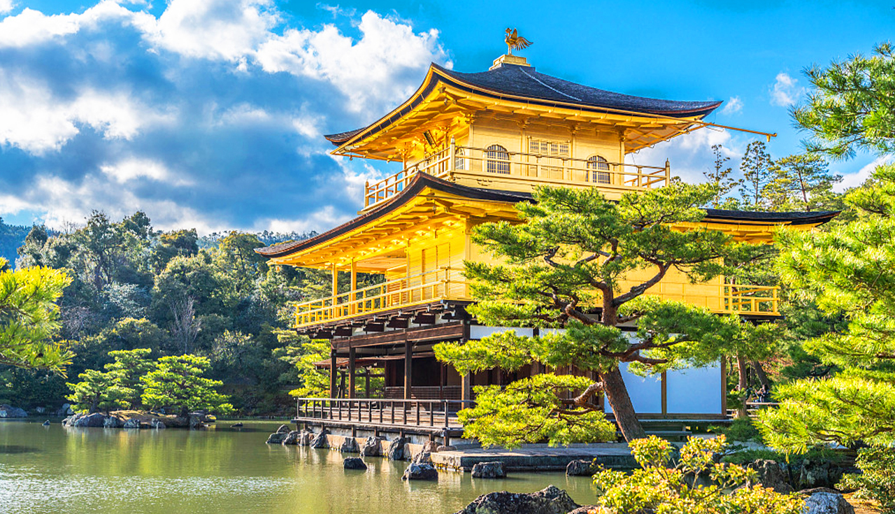 Kyoto Kinkakuji Temple, Kiyomizu Temple, Matcha Experience, Heian Shrine, and Rabbit Shrine Day Tour