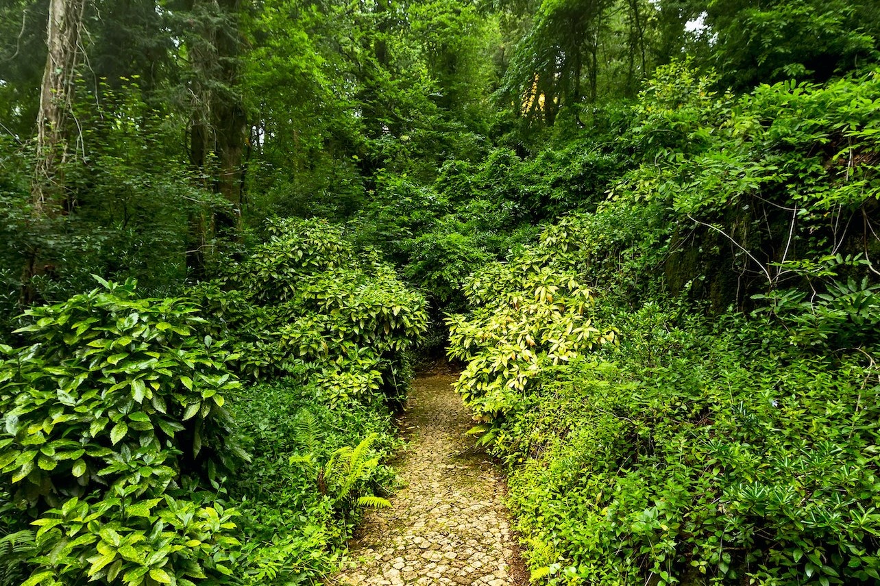 Pena Park Ticket in Sintra