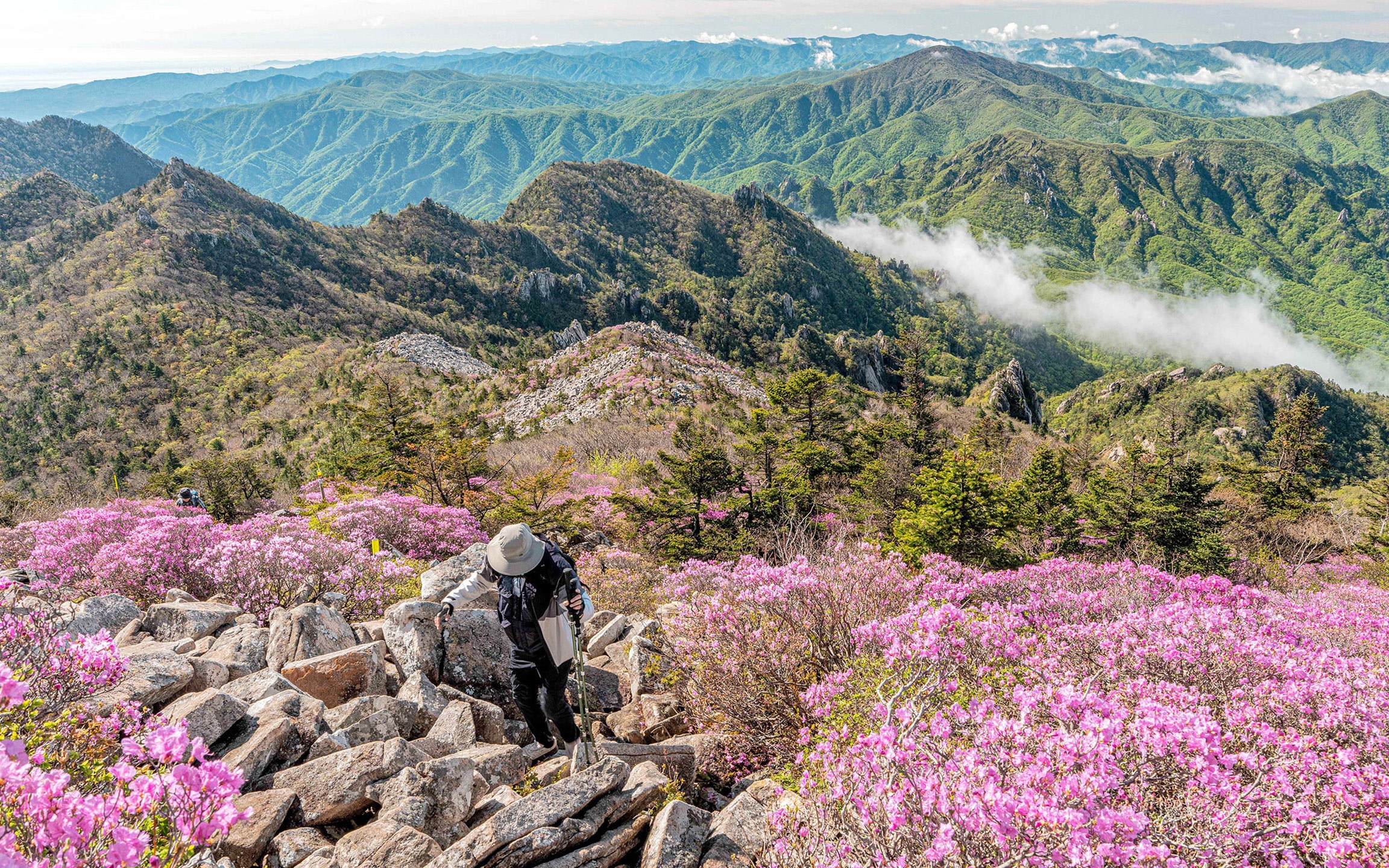 Seoul Seoraksan & Nami Island Guided Day Tour