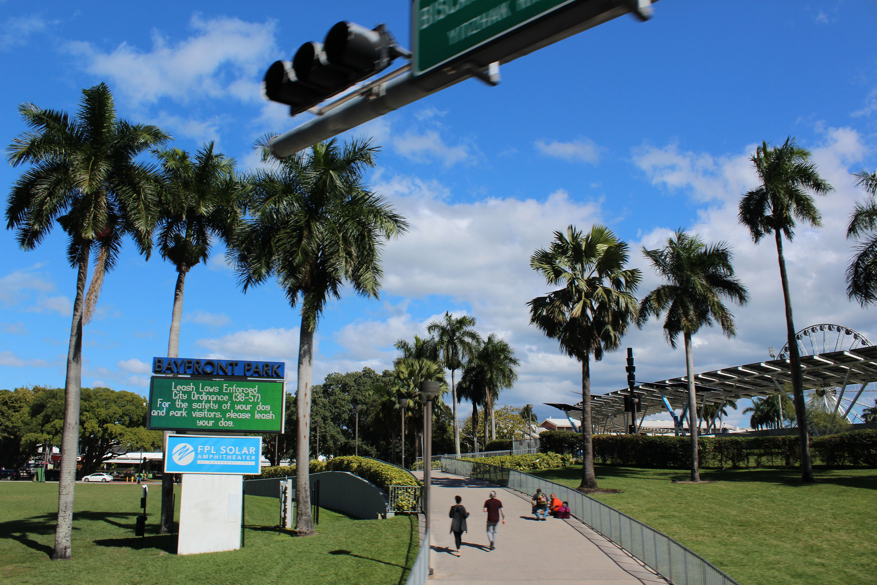 Miami Safari: All-in-1 Tour, Bus, Boat and Walking Best Discovery