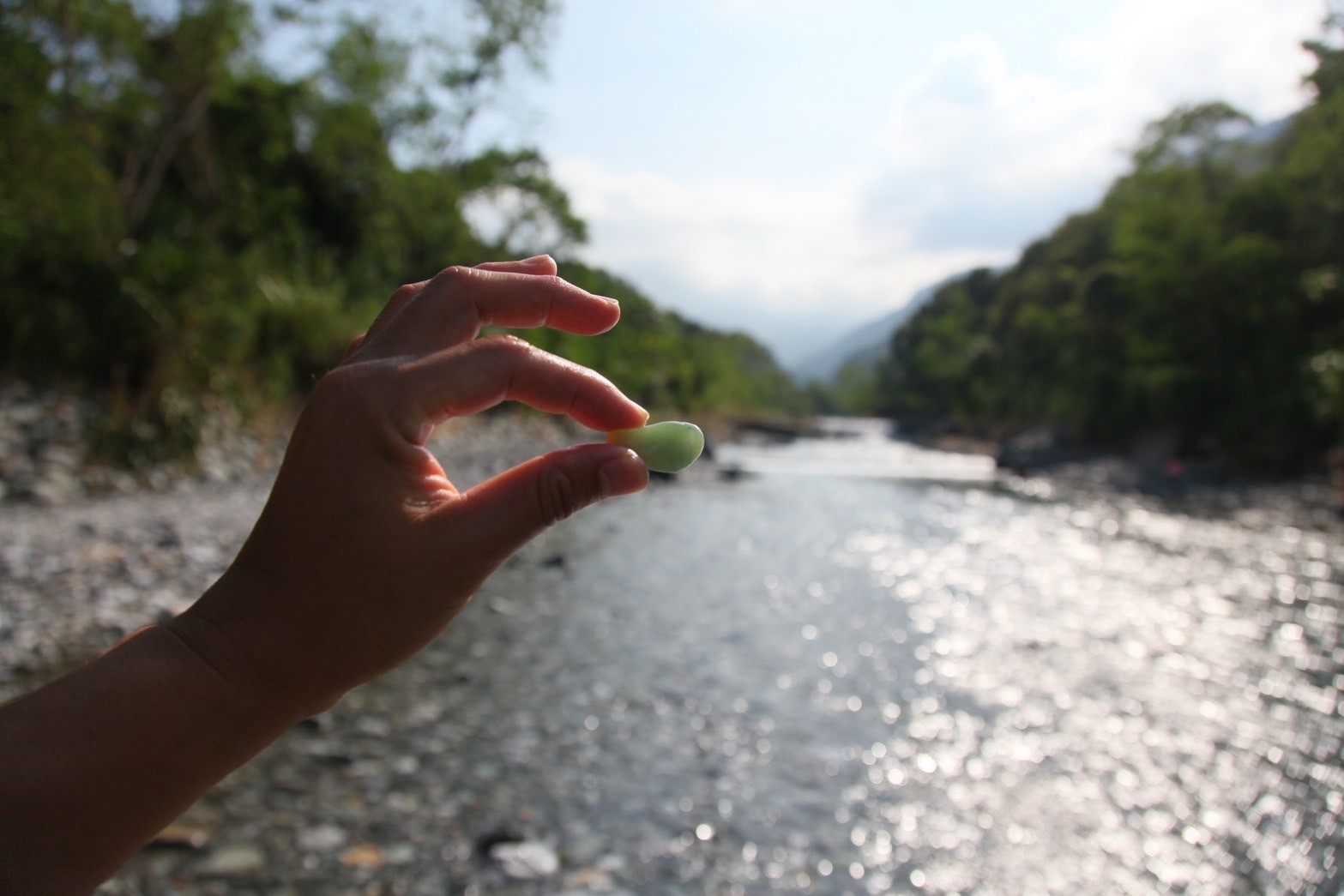 花蓮：縱谷山海森旅一日遊｜七星潭/石梯坪/鯉魚潭/新社梯田