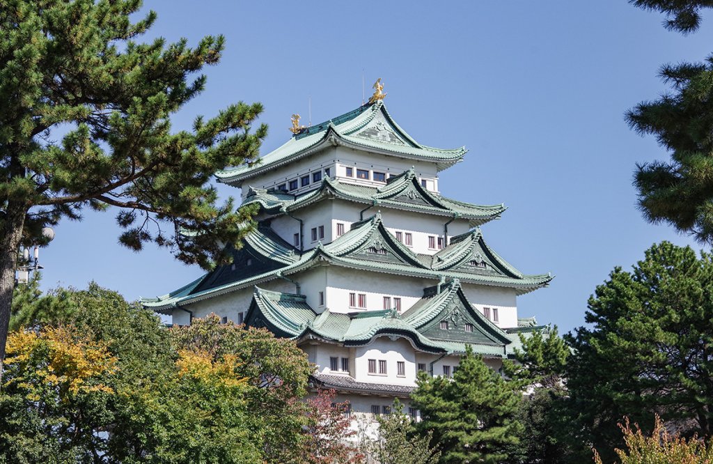 和歌山城x黑潮市場x奈良神鹿公園x東大寺一日遊(大阪出發)