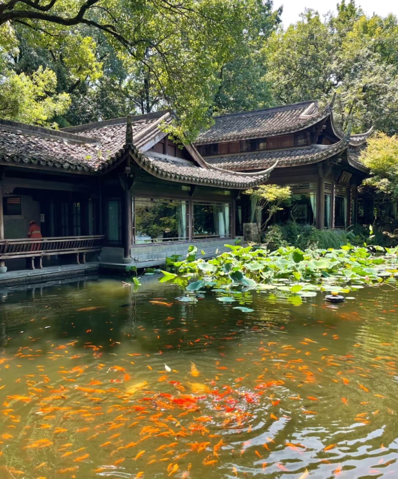 杭州3日漫遊(登靈隱寺飛來峰+賞西湖美景+觀雷鋒塔憶《白蛇傳》+逛清河坊南宋文化街+品乾隆御茶宴+江南風情+湖光山色+特色地方美食)