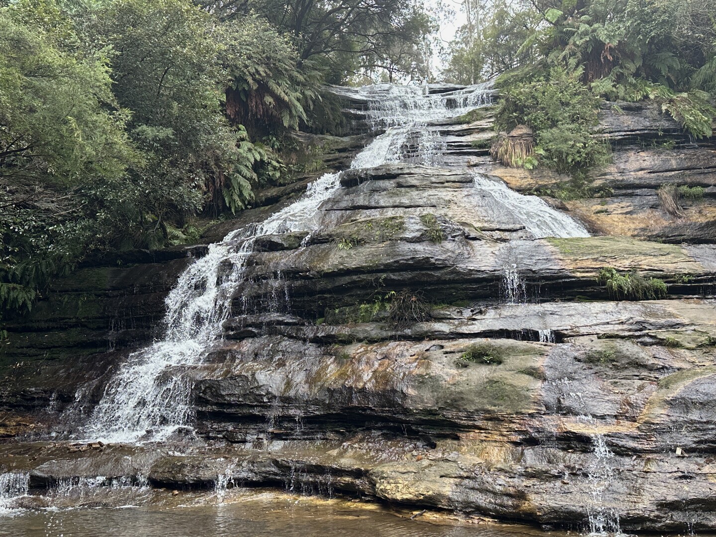 藍山終極一日遊