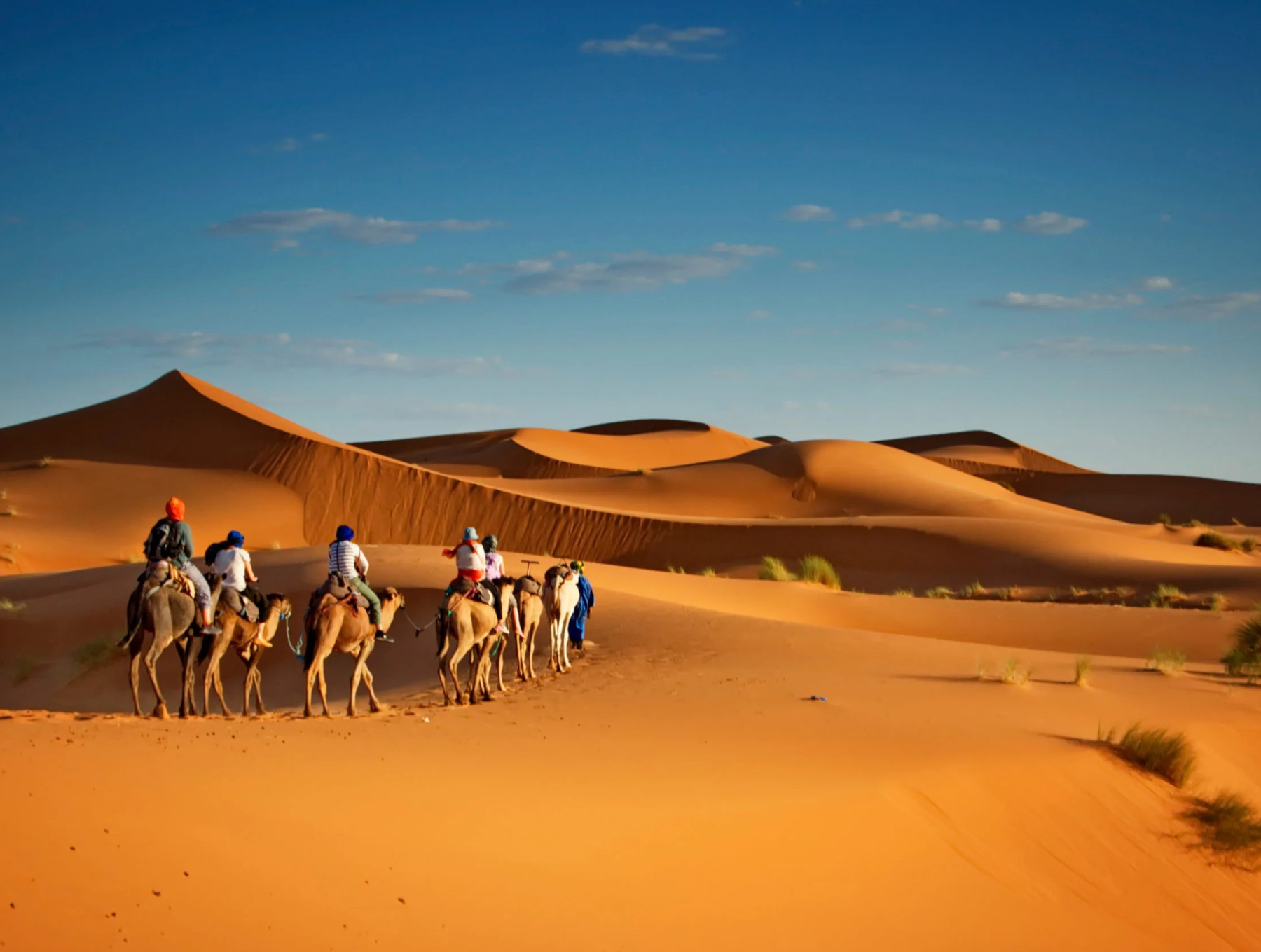 Приключение в пустыне и оазисах Омана из Маската