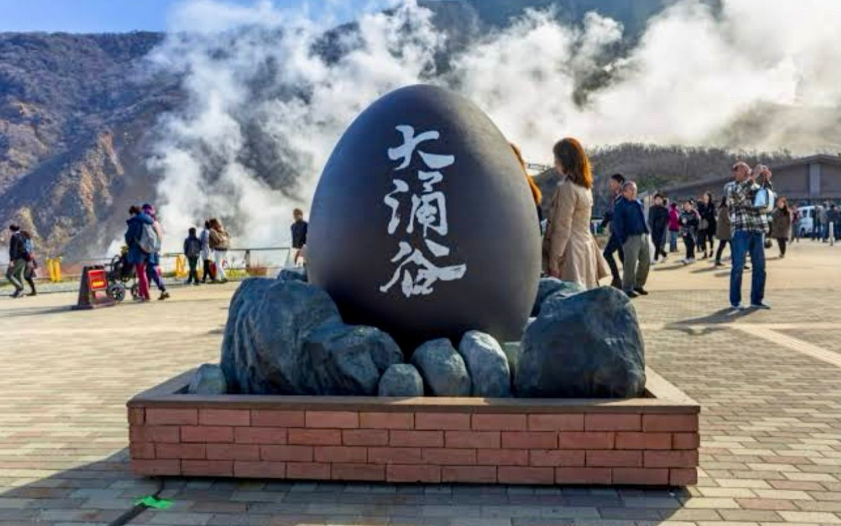 Mt. Fuji & Hakone Full-Day Customizable Private Tour
