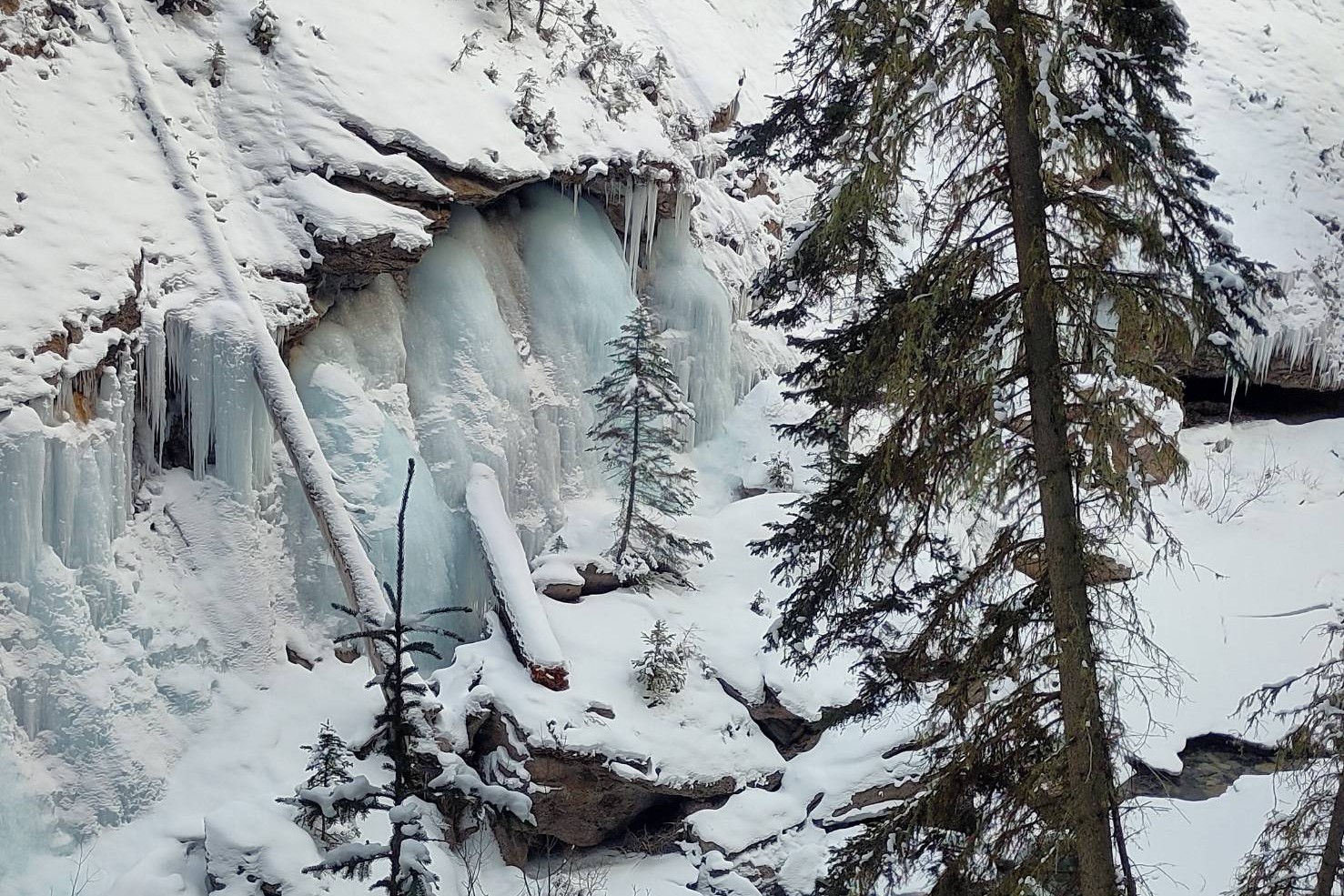 Johnston Canyon