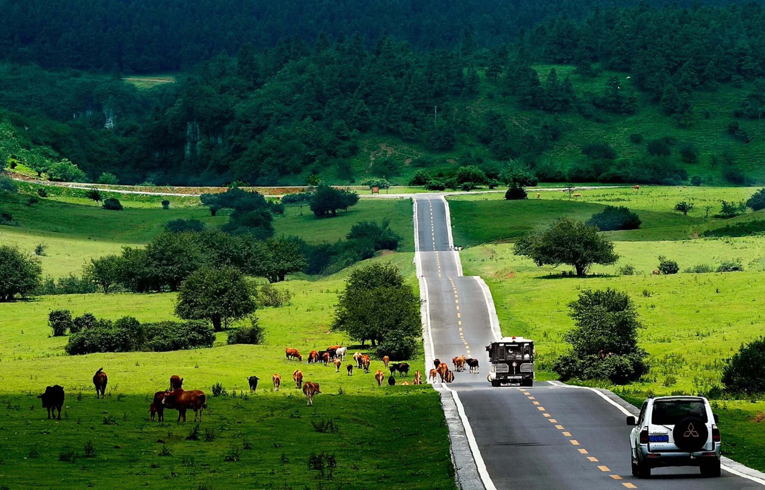 仙女山，是重慶市的度假勝地，它被譽為“南國第一牧原”和“東方瑞士”，在這裡，你將迎接一場視覺與心靈的盛宴