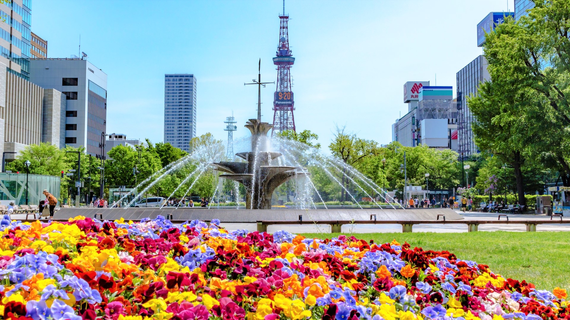 Sapporo│Muslim-friendly walking tour (with Wagyu Halal Ramen)