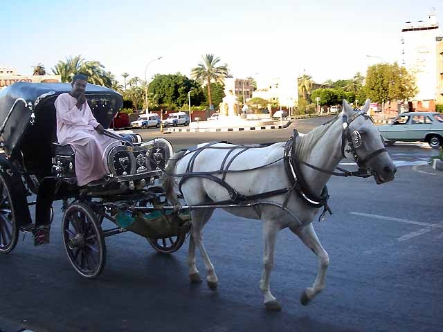 乘坐馬車欣賞阿斯旺的迷人景色