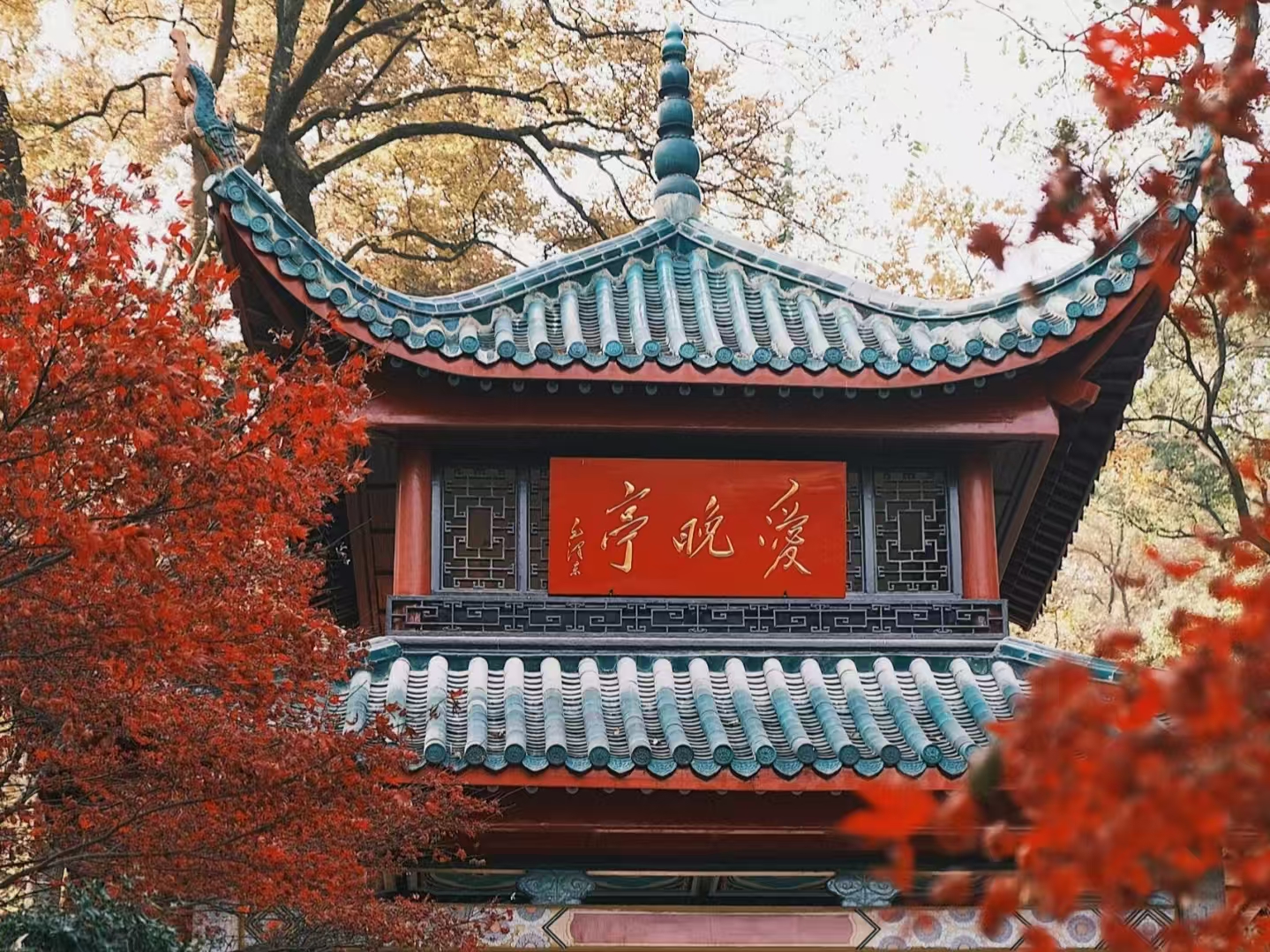 Located in Qingfeng Gorge of Yuelu Mountain, it is named after Du Mu's poem "Stopping the carriage, I sit here loving the maple forest in the evening." In his youth, Mao Zedong often brought his close friends Cai Hesen and others to climb Yuelu Mountain a
