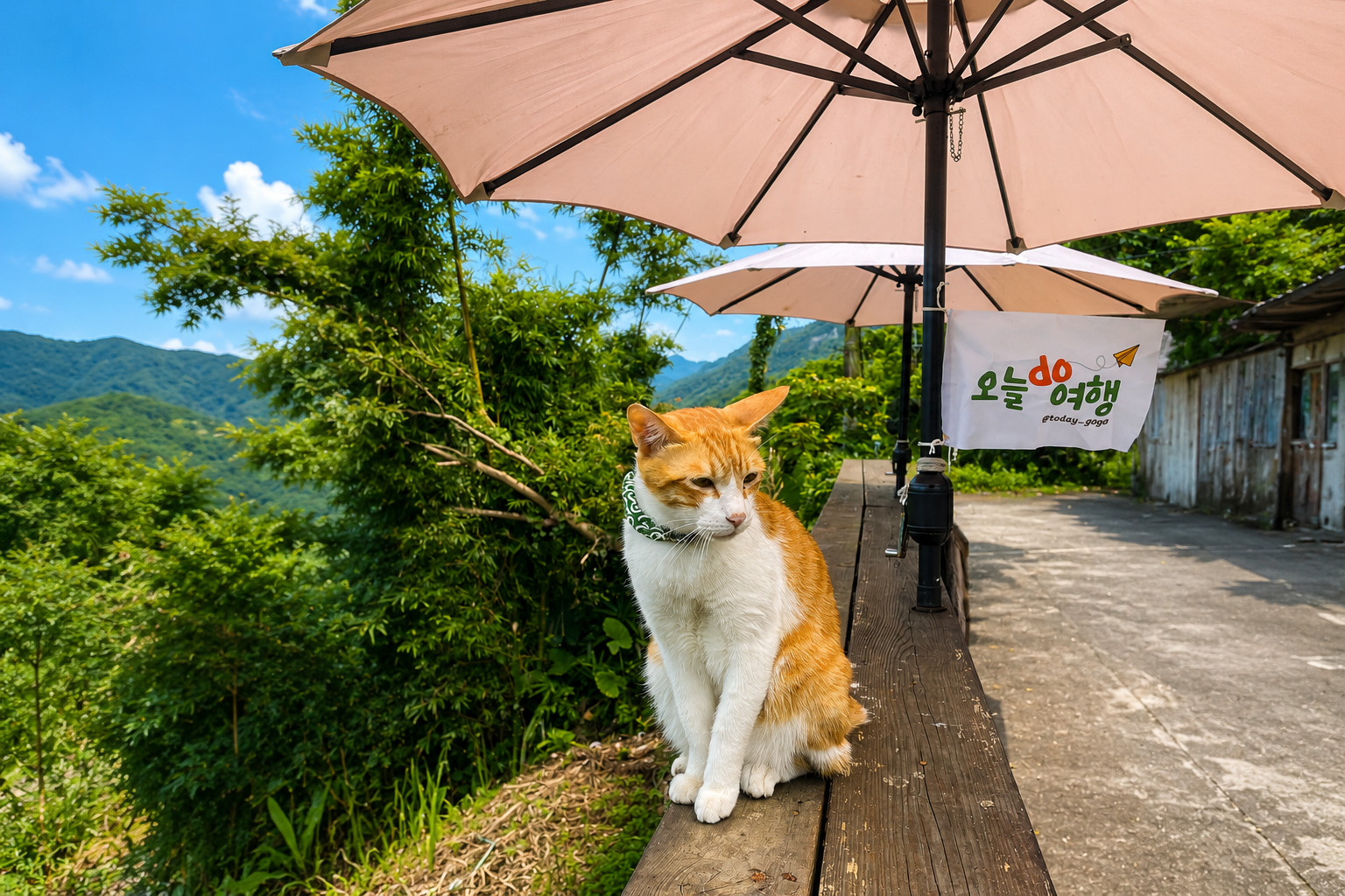 [Meow Butler Annyang] Taiwan Taipei Yehliu Shifen Jiufen Bus Tour including Houtong Cat Village