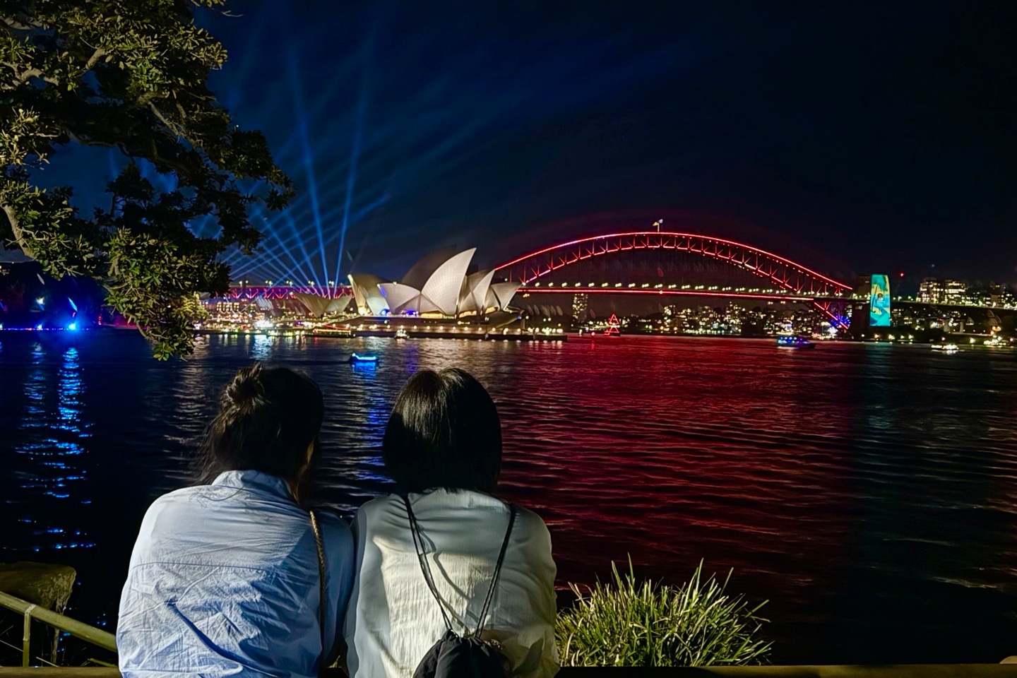 Sydney Night Icon Views Private Tour with Korean or English Guide