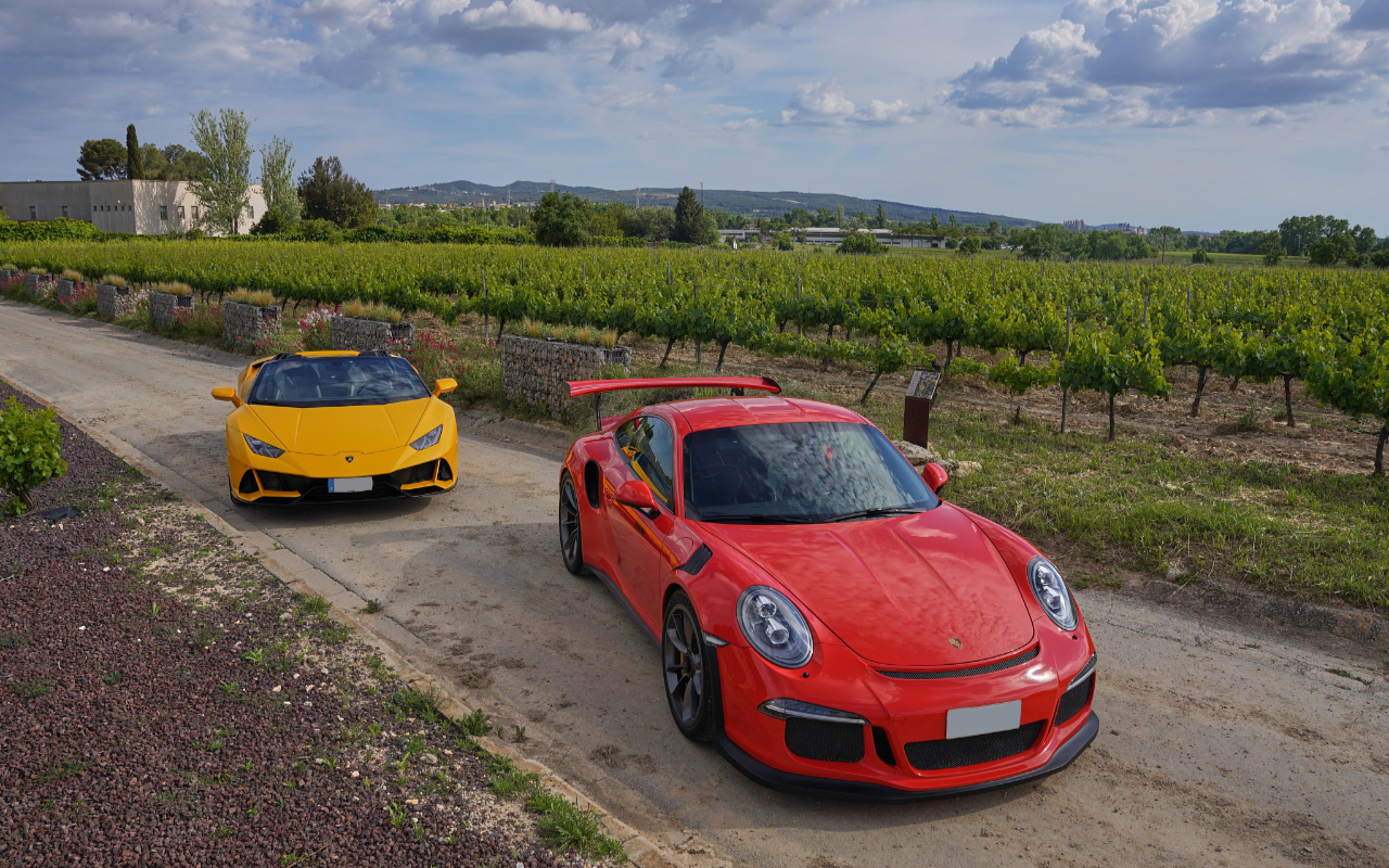 Supercar driving experience to Penedes vineyards