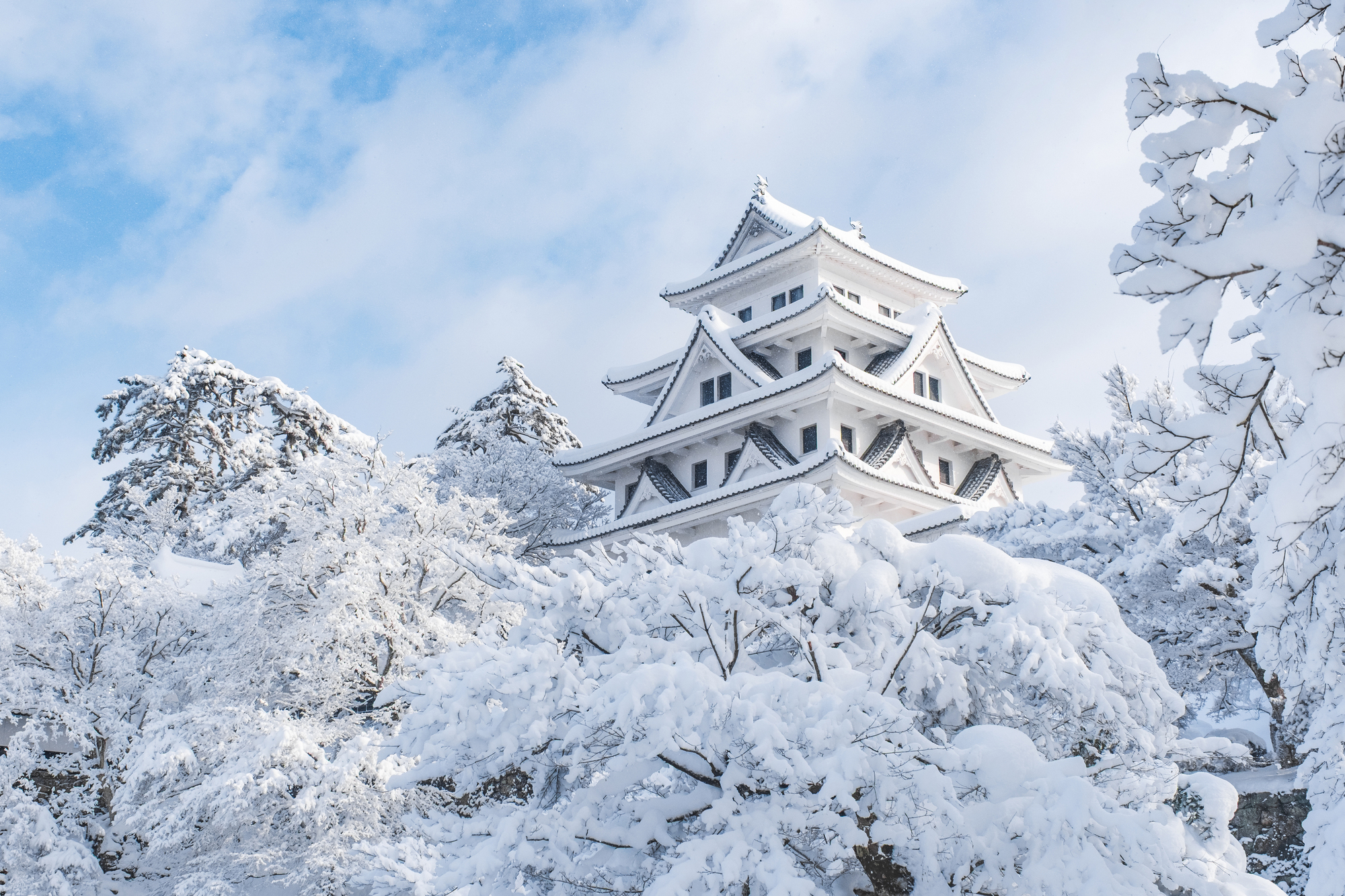 【郡上八幡城 冬季】
冬季的郡上八幡城被白雪覆蓋，宛如銀白色的童話世界。天守與山林披上雪裝，景色寧靜純粹。天氣寒冷但空氣清澈，晴天時可遠望雪景與城下町交織的美麗畫面，別有一番風情。※門票需自理