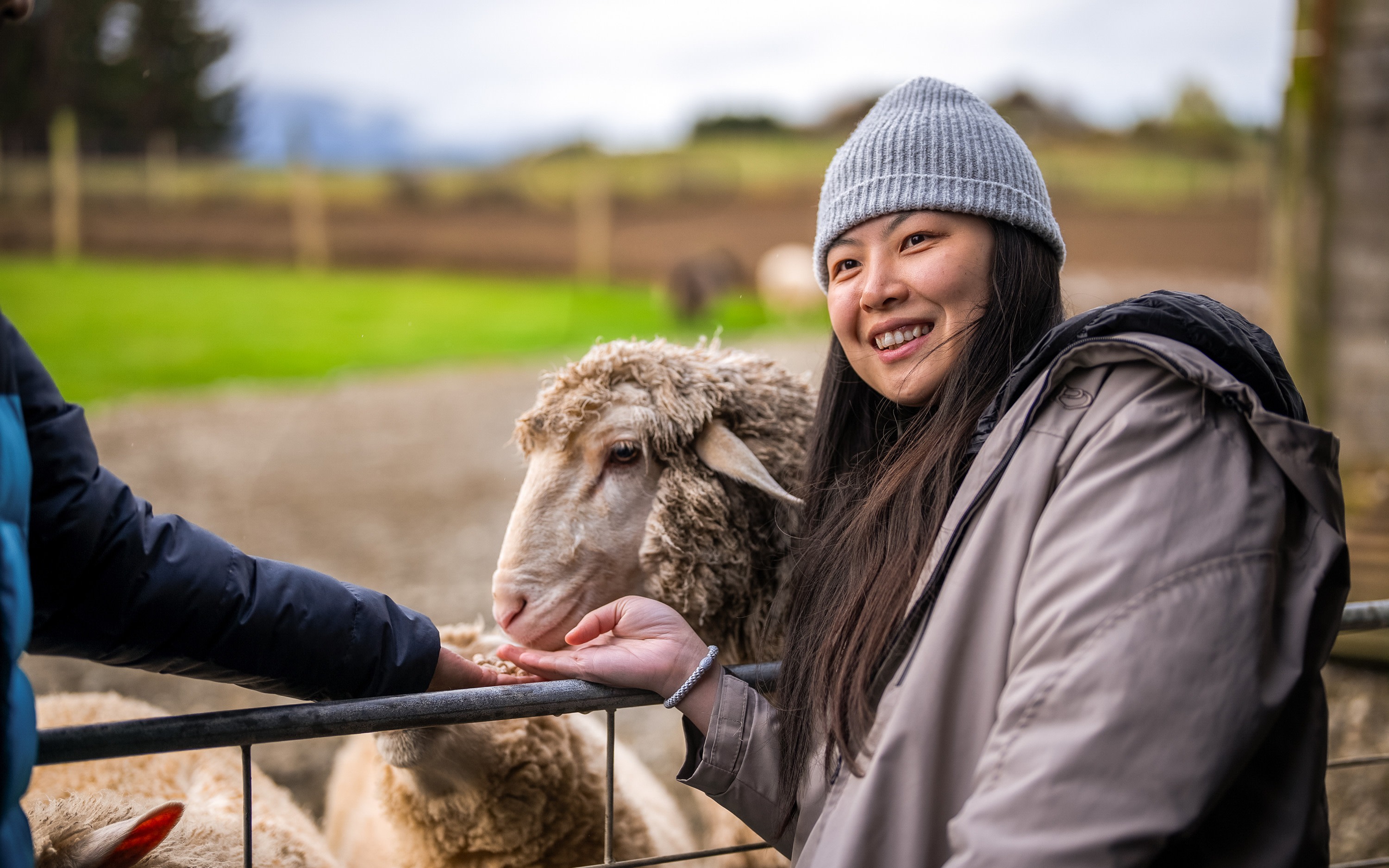 Milford Sound Coach and Cruise from Queenstown with Farm Tour