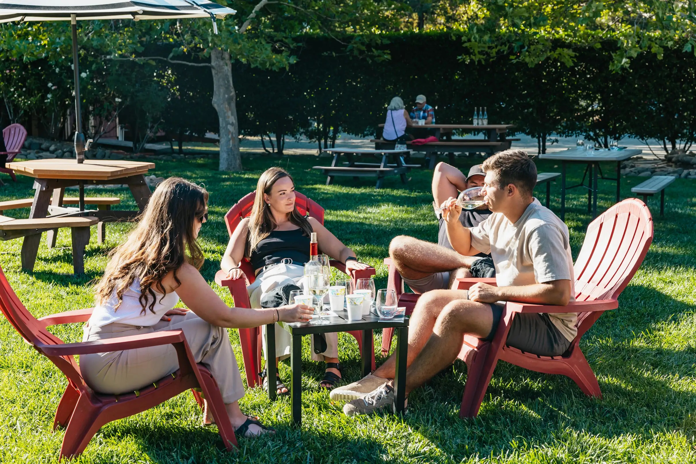 今天，在風景優美的納帕谷葡萄園進行半日遊，品嚐加利福尼亞州的美酒
