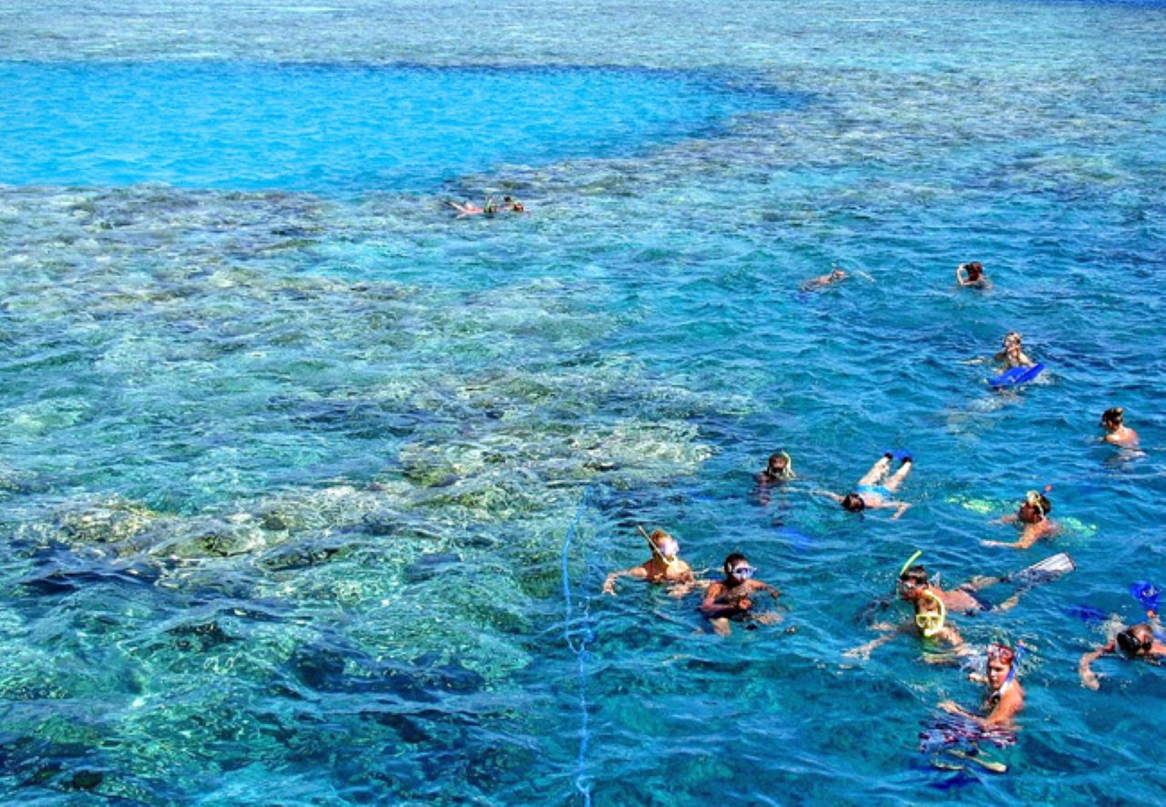 Tiran Island Full Day Snorkeling Sea trip, Lunch With Transfer - Sharm El Sheikh