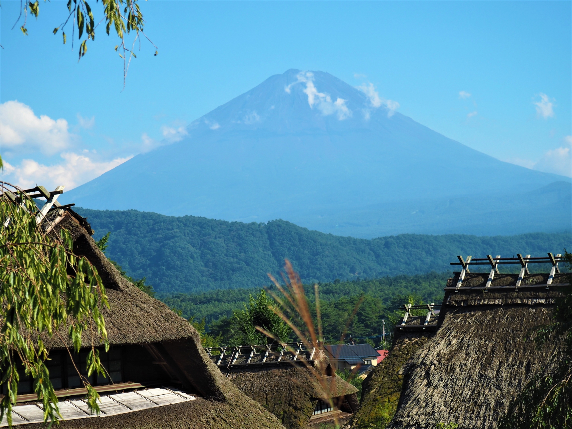 高級版富士山河口湖絕景一日遊！坐豪華巴士巡遊多個拍攝點，從不同角度欣賞令人震撼的富士山美景！包含神戶牛涮涮鍋（品川/新宿出發）