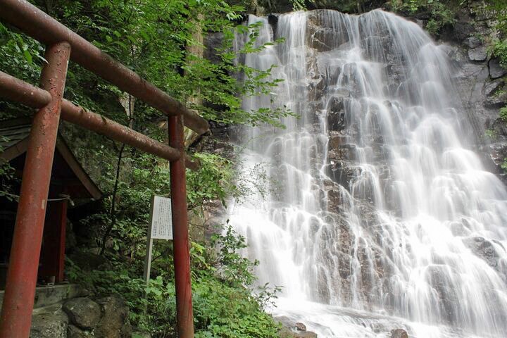 富士山精選景點私人之旅（含午餐 & 晚餐）