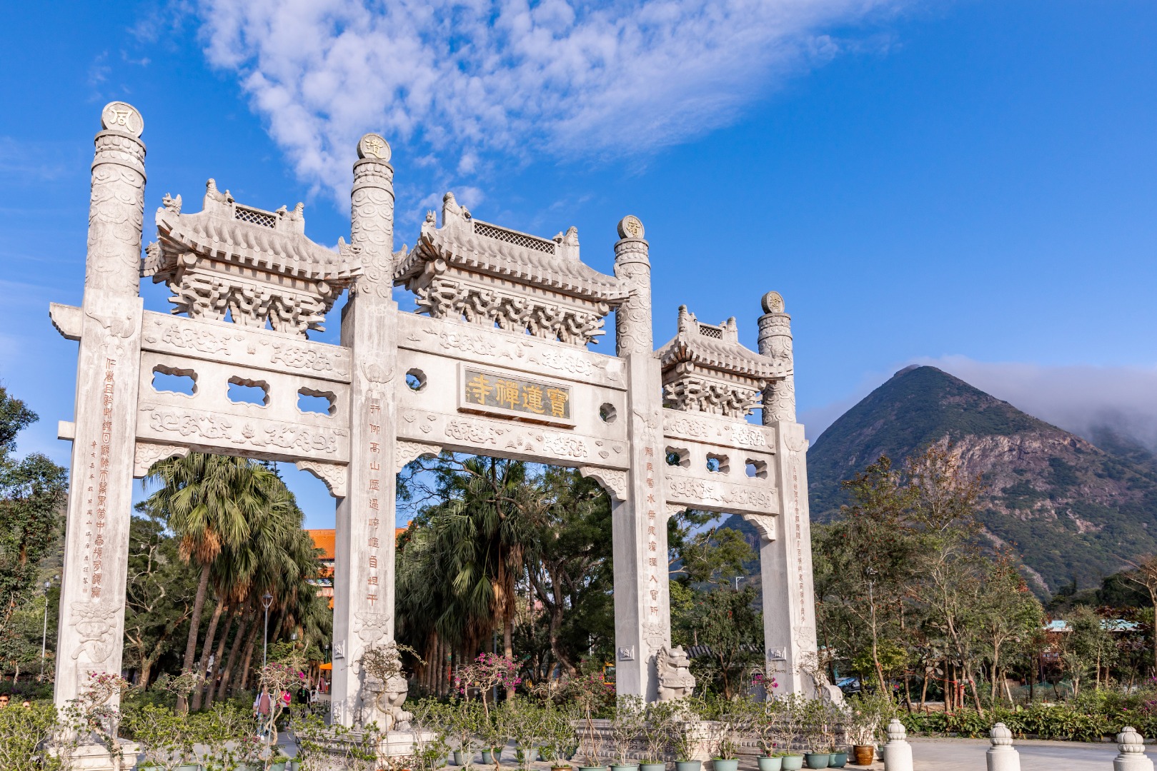 座落在翠綠的大嶼山中，欣賞歷史悠久的寶蓮禪寺