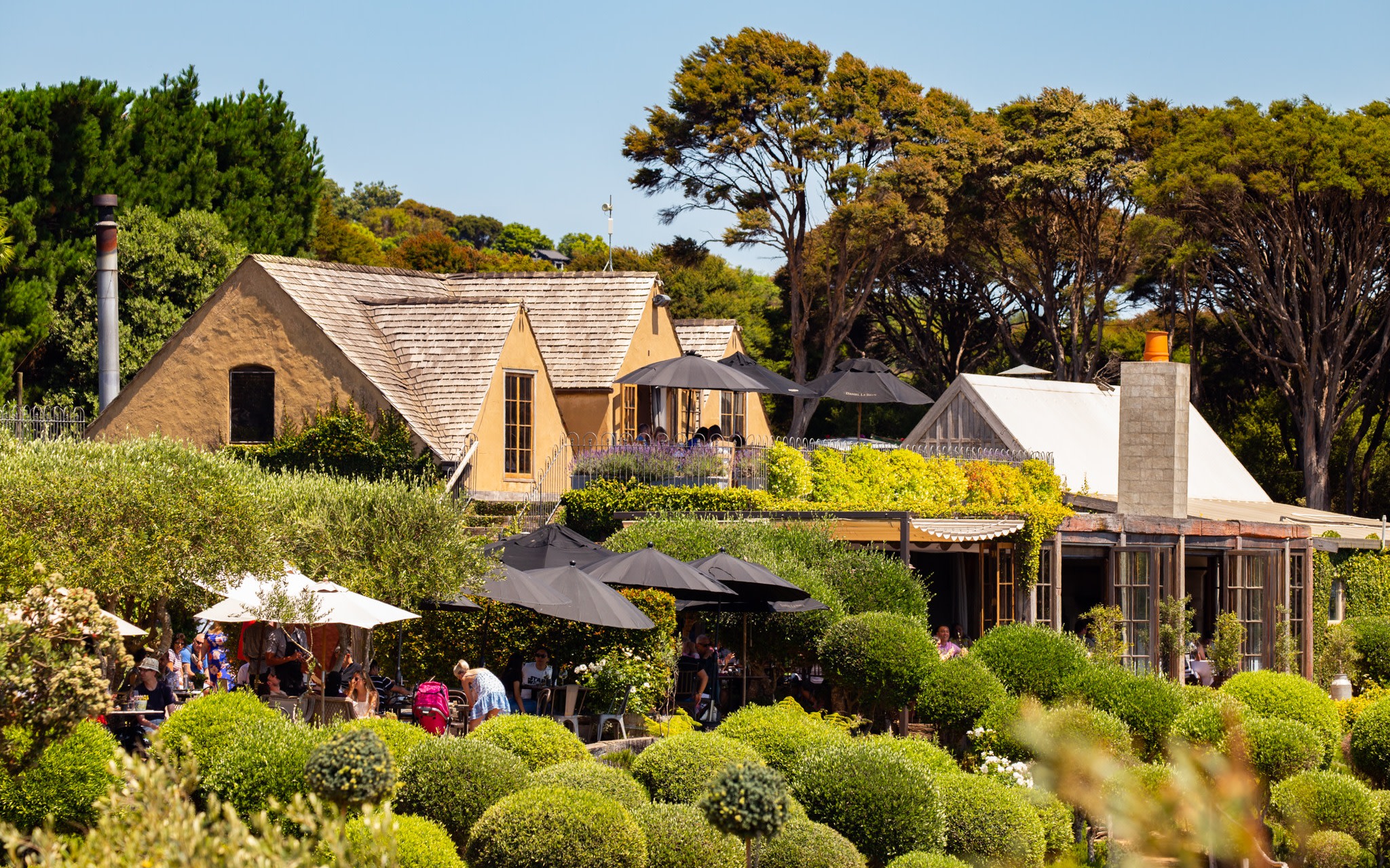 Waiheke Island Scenic Wine Tasting Tour