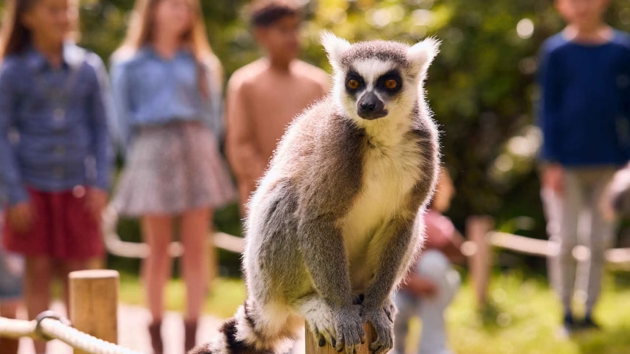 AquaZoo Leeuwarden ticket