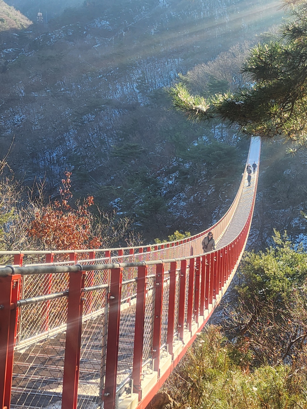 DMZ 非軍事區之旅（含吊橋）- 首爾出發