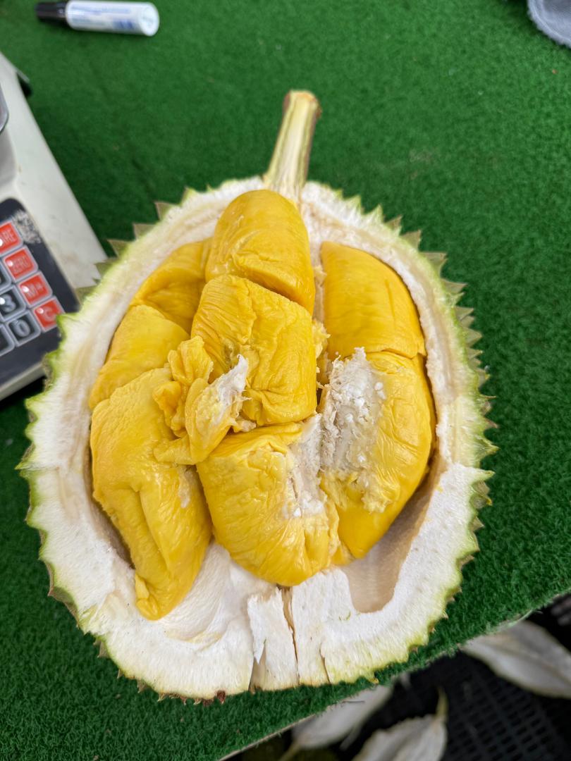 Old Tree Musang King Durian at 333 Durian Johor Bahru