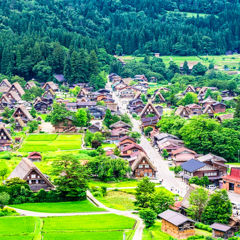 飛驒高山&白川鄉合掌村落&宮川朝市&古街漫步