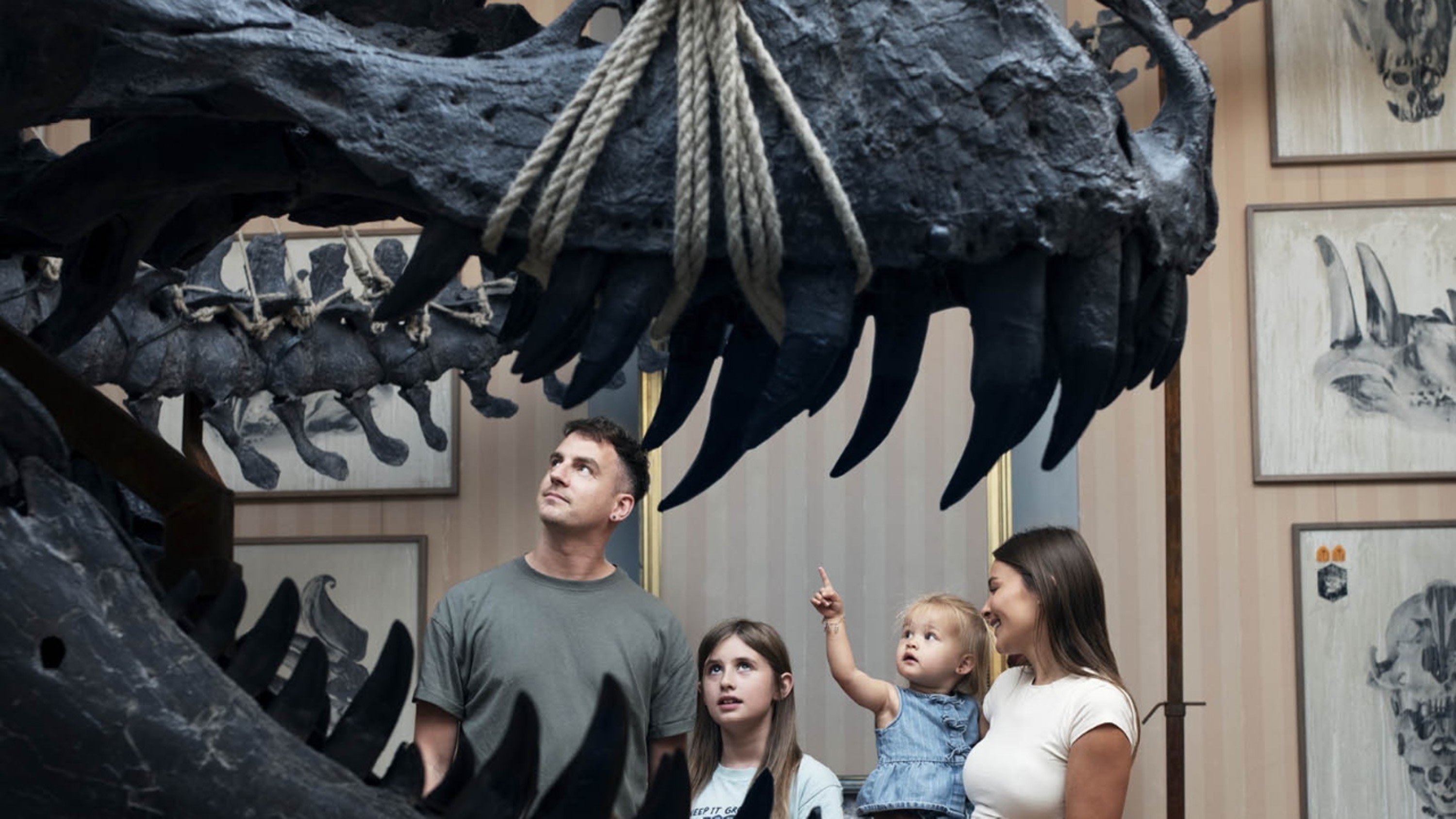 Art Zoo Museum ticket in Amsterdam