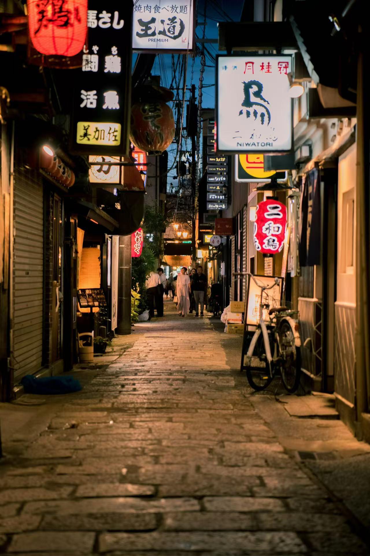 Osaka private Luxury Vehicle Tour：Freely Customized