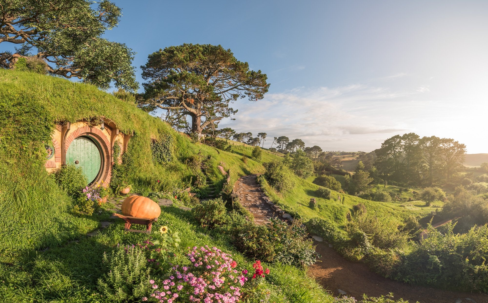 Hobbiton Movie Set, Waitomo Caves & Kiwi House Small Group Tour