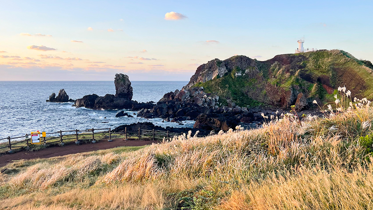 感謝您的支持。立即預訂! 感謝您的支持。立即預訂!