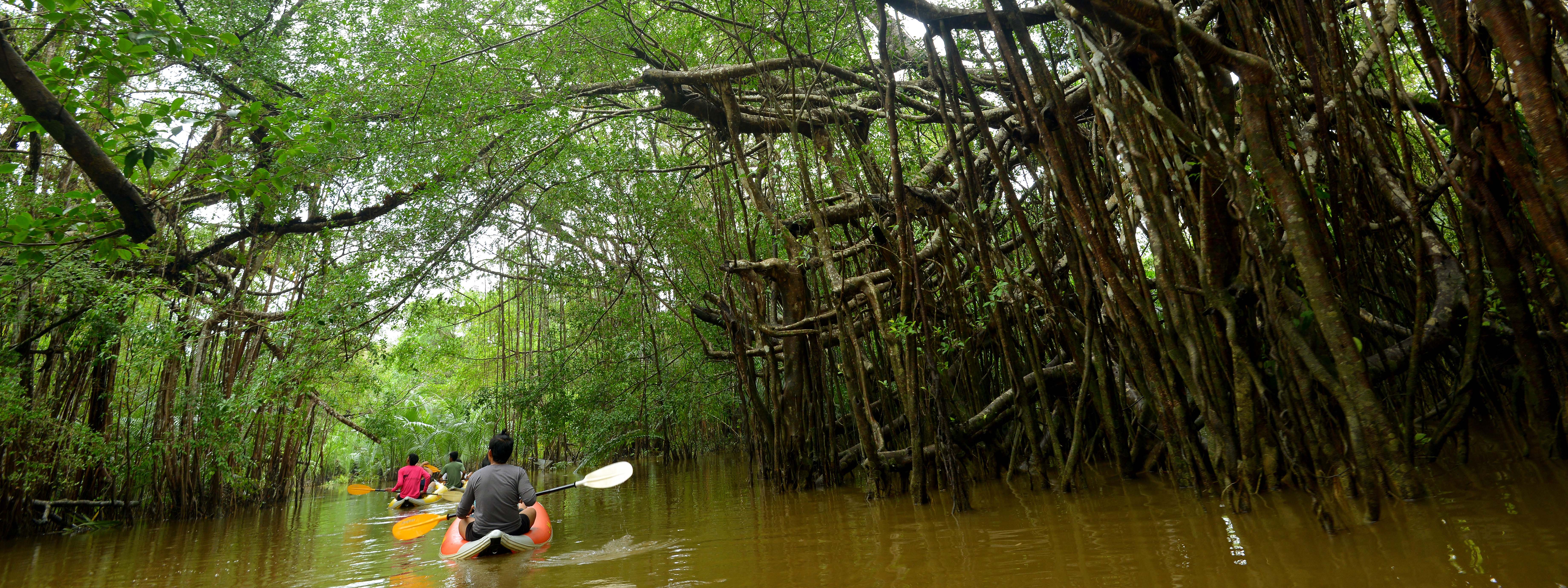 蘭卡威古邦巴達紅樹林獨木舟河川巡遊