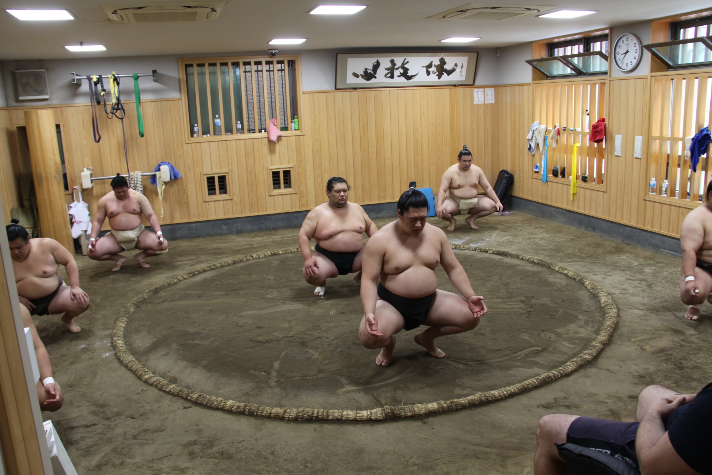 傳統日本國技東京大相撲晨練參觀體驗