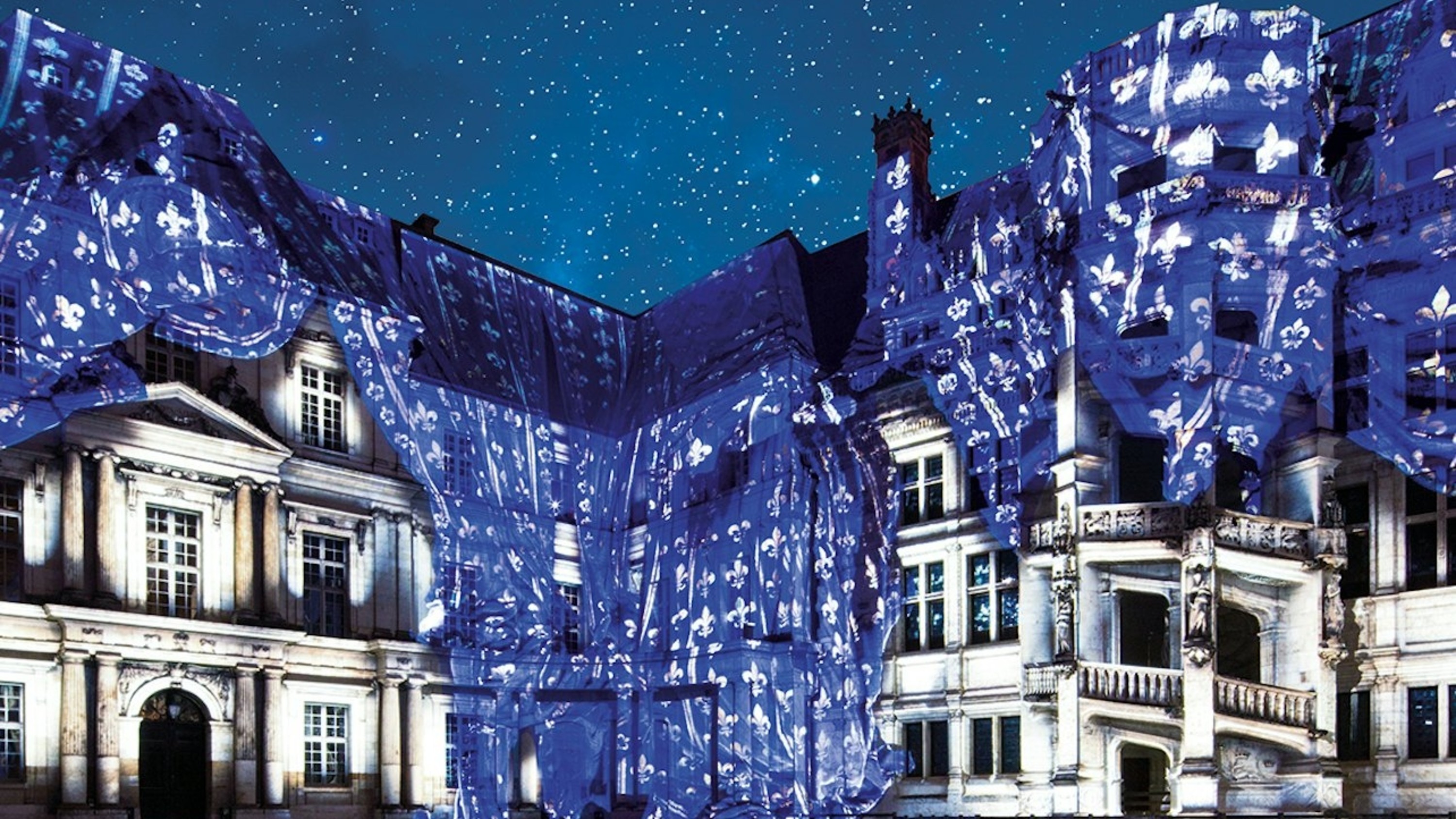 Sound and Light show at Royal Chateau of Blois ticket 