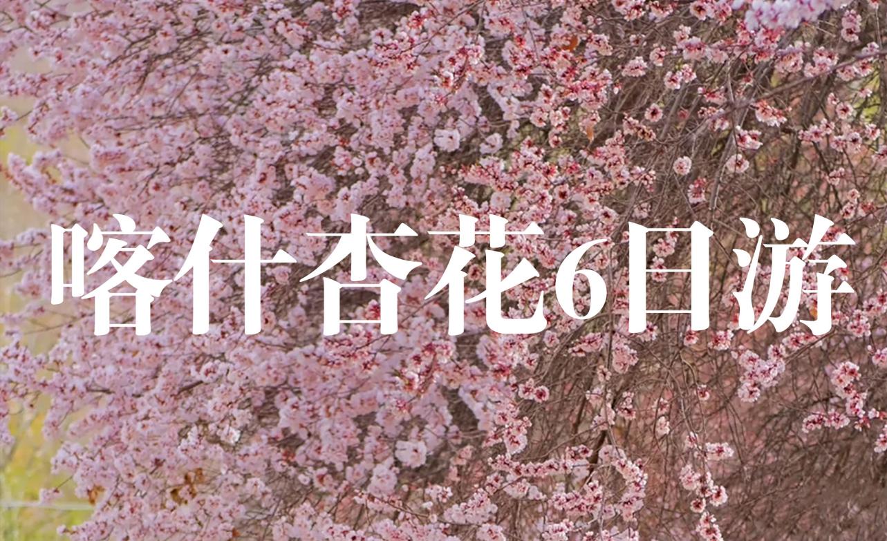 新疆南疆花開帕米爾6日（塔爾鄉杏花村+喀什古城旅拍+班迪爾藍湖+盤龍古道+塔莎古道+白沙湖+喀拉庫裡湖+木吉火山口+紅其拉普口岸）